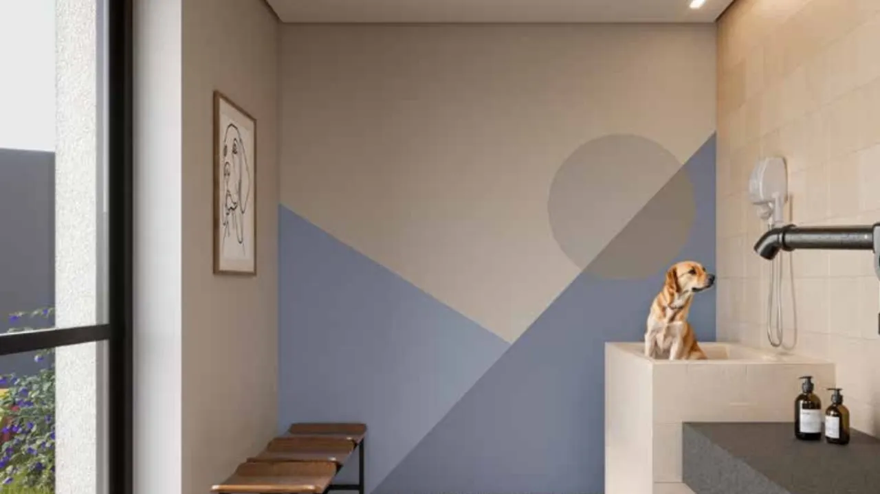Gallery image 7